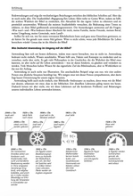 Lade das Bild in den Galerie-Viewer, Begegnung fürs Leben - Die Studienbibel für jeden Tag